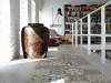Керамогранит Vives Brenta 1900 Rosa 20x20 фото 4