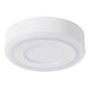 Потолочный светодиодный светильник Arte Lamp Antares A7809PL-2WH фото 3