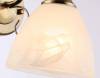 Настенный светильник Ambrella light Traditional TR3048 фото 4