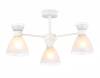 Потолочный светильник Ambrella light Traditional TR3177