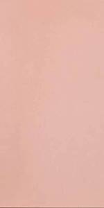 Керамогранит Casalgrande Padana R-Evolution 11460135 Light Pink 36SC R10 60x120