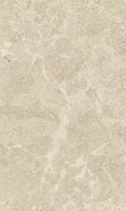Керамическая плитка Gracia Ceramica Saloni brown 01 30x50