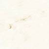 Керамогранит Absolut Gres Natural Beige AB 1005G gloss 600x600 фото 4