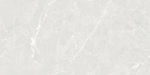 Керамогранит Artkera Group Mirabel 60120MIB05P light grey полированный 60x120