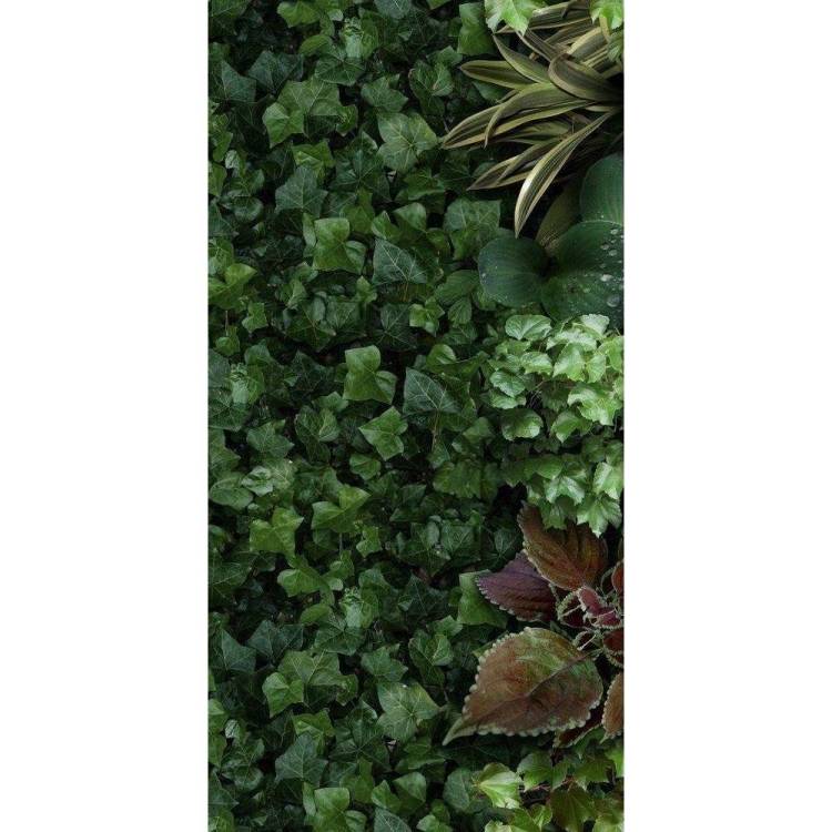 Декор 41ZERO42 Paper41 Pro 4100151 Jane A 50x100