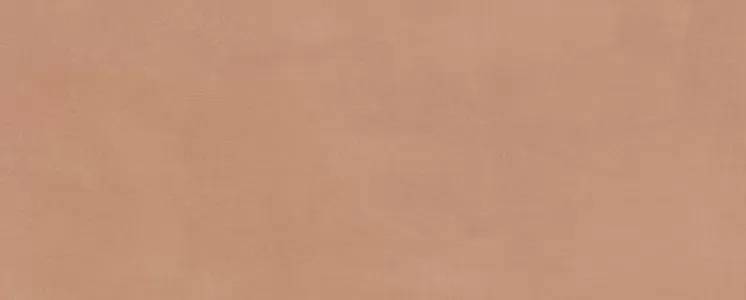 Керамическая плитка Kerama Marazzi Каннареджо 7254 оранжевый матовый 20x50x0.8