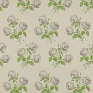 Обои Colefax and Fowler Jardine Florals 07401/02