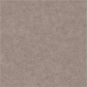 Обои Caselio Beton 101481899