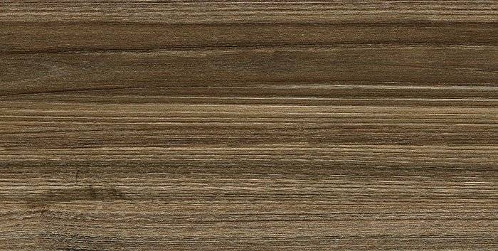 Керамическая плитка New Trend Essense WT9ESS08 24.9x50