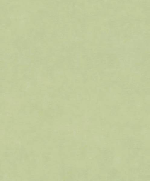 Обои Rasch Paraiso 330052