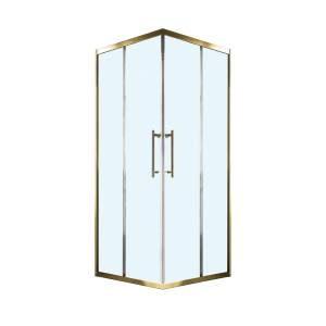 Душевой уголок Veconi Premium Trento PTC20-G-100-01-C4 часть 1000x2000