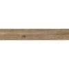 Керамогранит Absolut Gres Aroma Wood AB 1176W Brown 20x120