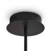 Подвесной светильник Freya Modern FR5557PL-L32B фото 6