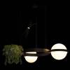 Подвесной светильник Loft IT Jardin 10121/2 фото 5