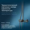 Душевая стойка AM.PM Like F0780522 черная фото 4
