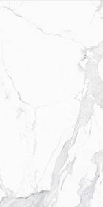 Керамогранит Creto Avenzo MDT25F35110G Silver F P R Full Lappato 59.5x119