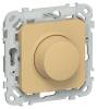 Светорегулятор проходной IEK Flite FI-D22-0250-P-K89 шамуа