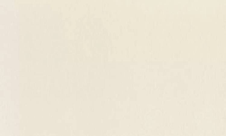 Обои Rasch Wall Textures Xl III 979367