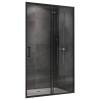Дверь в нишу Abber Schwarzer Diamant AG30100B5
