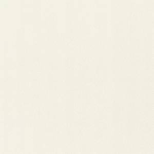 Обои Rasch Fresh Up 980301