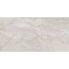 Керамогранит Art Ceramic Stonico Oyster Grey Glossy 60x120