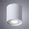 Потолочный светильник Arte Lamp Galopin A1460PL-1WH фото 2