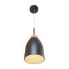 Подвесной светильник Loft IT Watchman Loft4402A-Bl фото 3