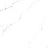 Керамогранит Arcadia Ceramica Statuario RT6015-A Fine Matt Rustic 60x60