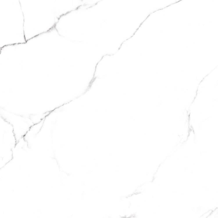 Керамогранит Arcadia Ceramica Statuario RT6015-A Fine Matt Rustic 60x60