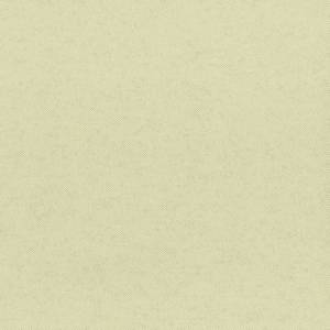 Обои флизелиновые Aura Plain Resource Vol 2 B1180301