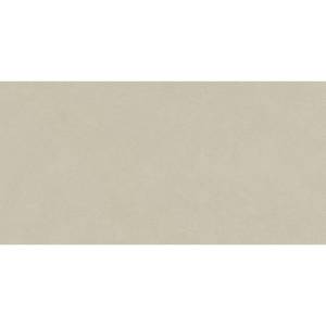 Керамогранит Atlas Concorde Boost Natural Pro AQ9C Cinder 60x120