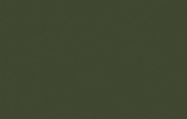 Обои флизелиновые Loymina Equator QTR8 005/2