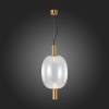 Подвесной светодиодный светильник ST Luce Allenore SL1582.313.01 фото 3