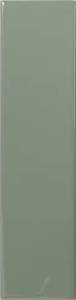 Керамическая плитка Dna Tiles Match 130855 Sage Gloss 6.25x25