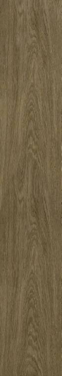 Керамогранит ColiseumGres Ducale 610010003504 Pepper Ret 20x120