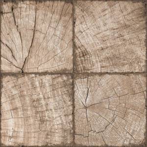 Керамогранит New Trend Ringwood Brown GP6RIT21 41x41