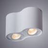 Потолочный светильник Arte Lamp Falcon A5645PL-2WH фото 2