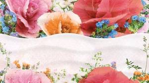Декор Ceradim Aroma КВС16Aroma Dec 25x45