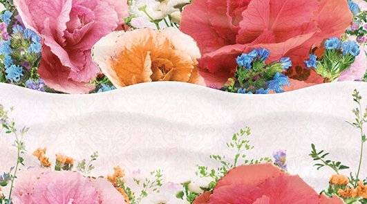 Декор Ceradim Aroma КВС16Aroma Dec 25x45