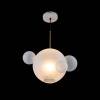 Подвесной светильник Loft IT Bolle 2030-P4 фото 4