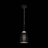 Подвесной светильник Loft IT Watchman Loft4402A-Bl фото 2