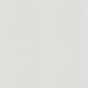 Обои виниловые Rasch Wallton 161410