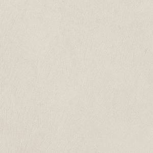 Керамогранит Fioranese Fio. Liquida CLQ20S1 Bone White naturale 20x20