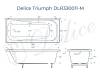 Ванна из искусственного камня Delice Triumph DLR330011-M 170x75, белая матовая, без ножек фото 9
