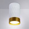 Потолочный светильник Arte Lamp Fang A5558PL-1WH фото 2