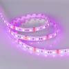 Светодиодная влагозащищенная лента Arlight 14,4W/m 60LED/m 5060SMD разноцветный 5M 014618(2) фото 2