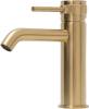 Смеситель для раковины Allen Brau Priority 3.0 5.31A01-GB золото браш