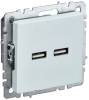 Розетка USB type A+A IEK Brite BR-U21-D31-K36 жемчуг