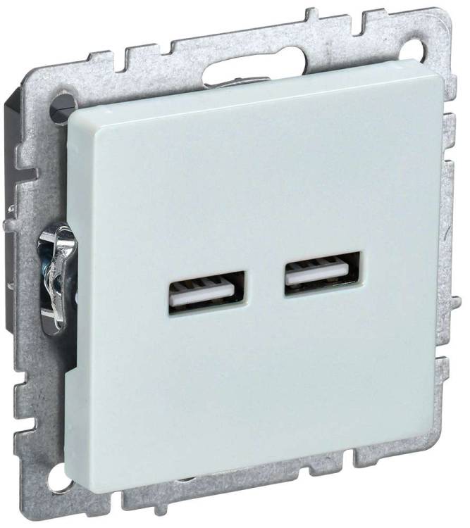 Розетка USB type A+A IEK Brite BR-U21-D31-K36 жемчуг