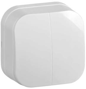 Выключатель 2-клавишный IEK Glory EVH20-K01-10 белый